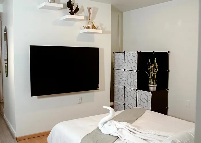 Apartamento Departamento Céntrico, Amplio Y Nuevo Cerca Del Aeropuerto Y Gnp-foro Sol