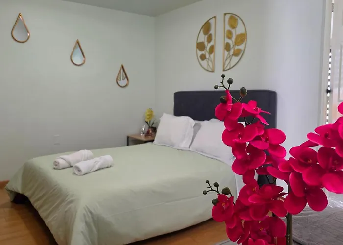 Departamento Céntrico, Amplio Y Nuevo Cerca Del Aeropuerto Y Gnp-foro Sol Apartamento *